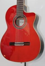 エレガット、カッタウェイの検索結果1～50件【楽器検索｜Jギター】