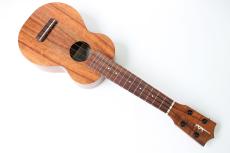 Kamaka HF-1_2