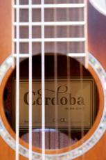Cordoba  【USED】 C4-CE Edge Burst 【エレガット】【美品中古品】【池袋店在庫品】_11