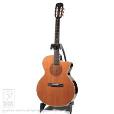ARIA SP-250_2