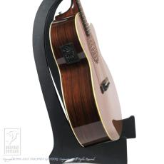 ARIA SP-250_3