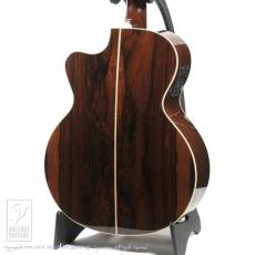 ARIA SP-250_4