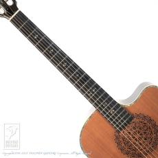 ARIA SP-250_5