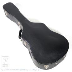ARIA SP-250_9