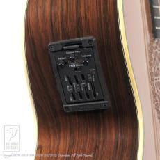 ARIA SP-250_10