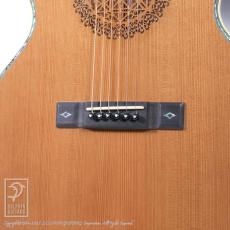 ARIA SP-250_13