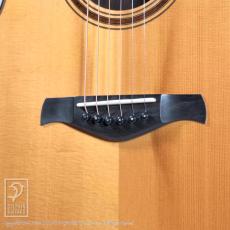 ROBINSON GUITARS SJ Cutaway (Jacaranda)_10