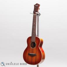Singer  RC1K