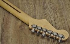 Fender Japan AST AERODYNE_4