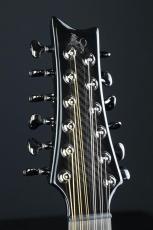 Emerald Guitars Amicus BLK_8