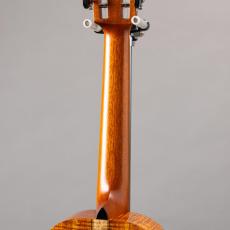 Ko'olau Model-100 Tenor_8