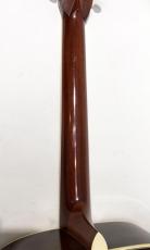 BlueBell W-1000_6