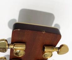 BlueBell W-1000_9