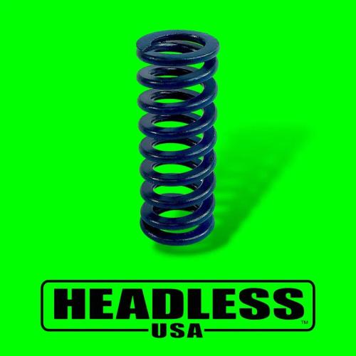 HEADLESS USA Steinberger Tremolo Spring - For TransTrems and S-Trems