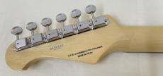 FgN NST200RAL / VSB_11