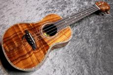 Big Island KX-CTG #230399【コンサート】【ハワイアンコア単板】【選定品】【池袋店在庫品】_2