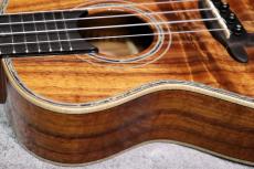 Big Island KX-CTG #230399【コンサート】【ハワイアンコア単板】【選定品】【池袋店在庫品】_6