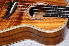 Big Island KX-CTG #230399【コンサート】【ハワイアンコア単板】【選定品】【池袋店在庫品】_7