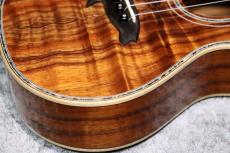 Big Island KX-CTG #230399【コンサート】【ハワイアンコア単板】【選定品】【池袋店在庫品】_4