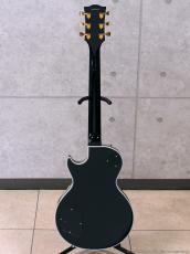 Edwards E-LP-CTM/P BK [Black]_5