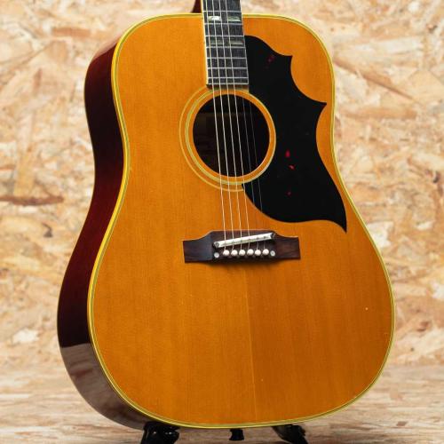 Gibson Country Western 1965
