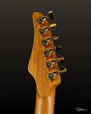 Shue Guitars New Classic T TM40 Nebura Gold Hardware w/Royal Teak Neck_10