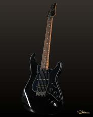 Taylor 914ce Special Edition 新品 1475362 Taylor(テイラー)【楽器