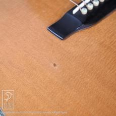 SEAGULL by M.Shiozaki SD-85 Custom_11