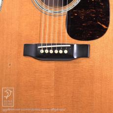 SEAGULL by M.Shiozaki SD-85 Custom_12