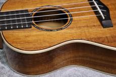 Big Island KM-CTG #250016【コンサート】【ハワイアンコア単板】【選定品】【池袋店在庫品】_6