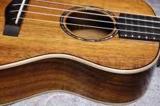 Big Island KM-CTG #250016【コンサート】【ハワイアンコア単板】【選定品】【池袋店在庫品】_7