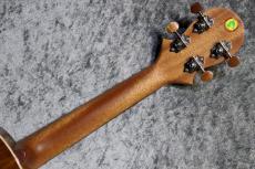 Big Island KM-CTG #250016【コンサート】【ハワイアンコア単板】【選定品】【池袋店在庫品】_10