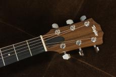 Taylor Academy 10e / Natural_5