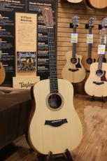 Taylor Academy 10e / Natural_10