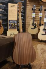 Taylor Academy 10e / Natural_11