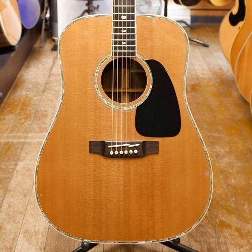 Takamine TSS-20