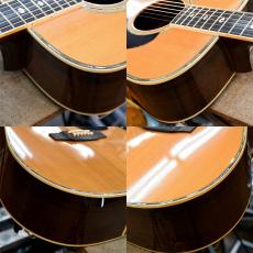 Takamine TSS-20_4