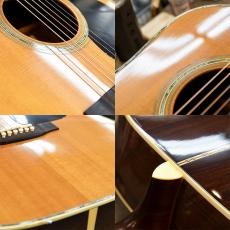 Takamine TSS-20_5