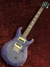 Paul Reed Smith [PRS] SE Custom 24 Amethyst