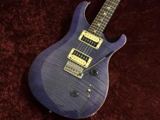 Paul Reed Smith [PRS] SE Custom 24 Amethyst_3