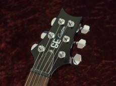 Paul Reed Smith [PRS] SE Custom 24 Amethyst_7