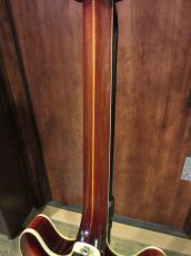 Guild 1974 Starfire IV Sunburst_8