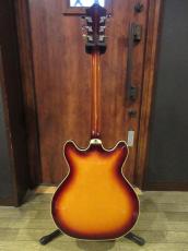 Guild 1974 Starfire IV Sunburst_9