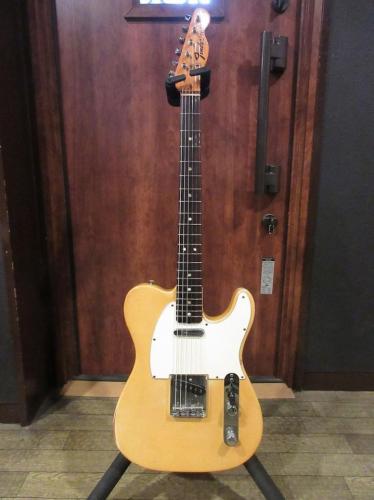 Fender 1973 Telecaster Blond/Rose