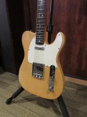 Fender 1973 Telecaster Blond/Rose_2