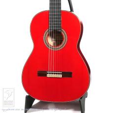 Esteve GIPSY KINGS by André Reyes【無金利キャンペーン対象品】 