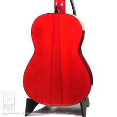 Esteve GIPSY KINGS by André Reyes_4
