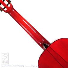 Esteve GIPSY KINGS by André Reyes_6
