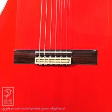 Esteve GIPSY KINGS by André Reyes_10