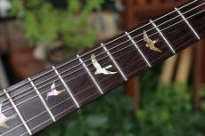Paul Reed Smith [PRS] Custom24_9